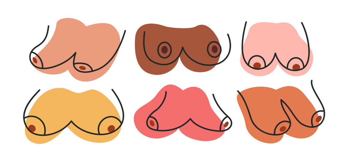 Slim Girls, Big Tits